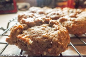 Oatmeal Cookie_2_sideview